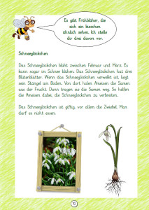 Aehnliche Frueblueher