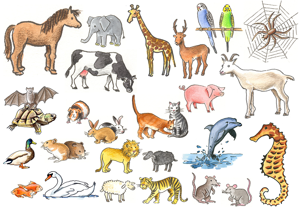 Cliparts des Niedersächsischen Bildungsservers (NiBiS) für Tiere und andere Kreaturen