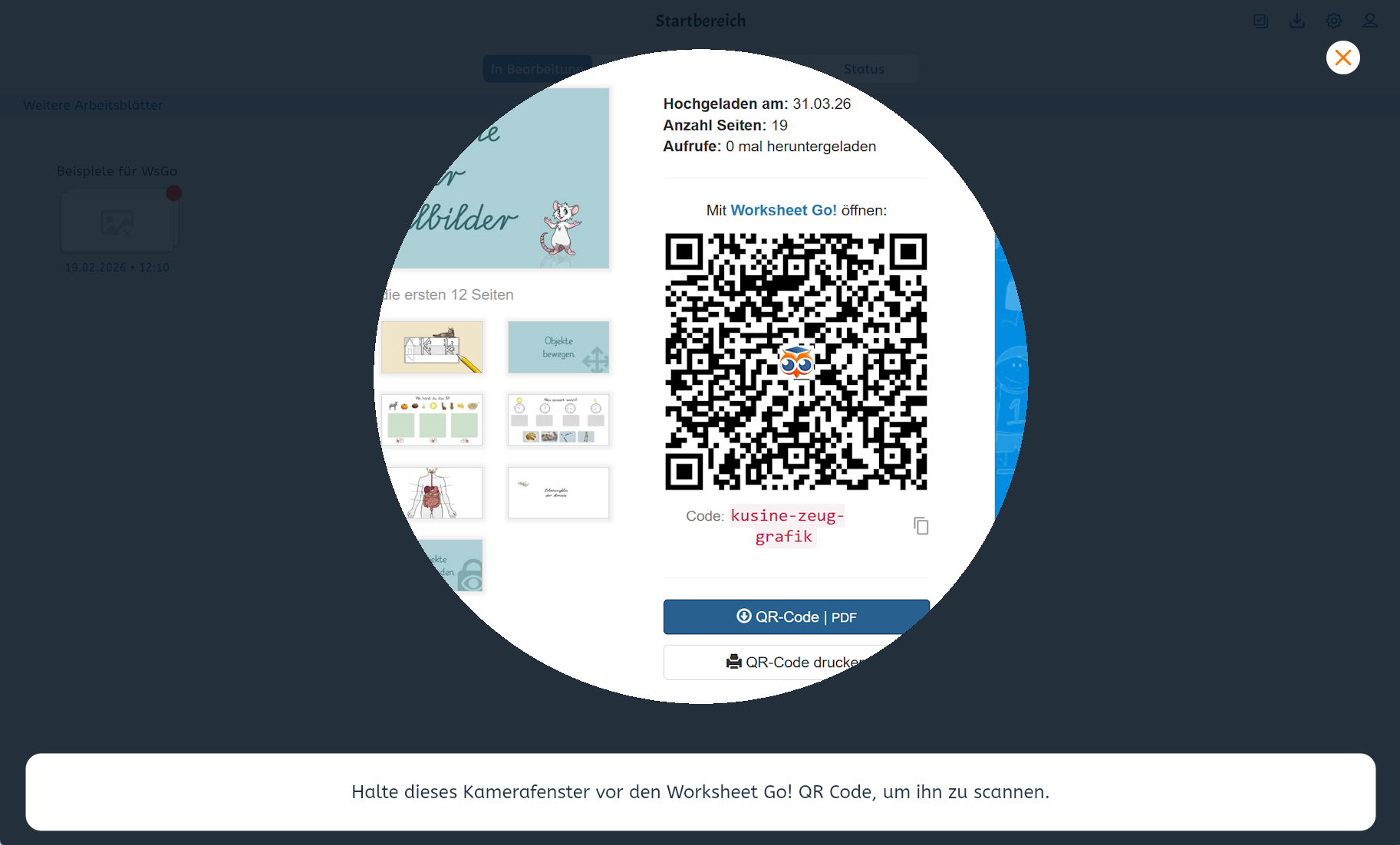 wsgo-qr-code-scan