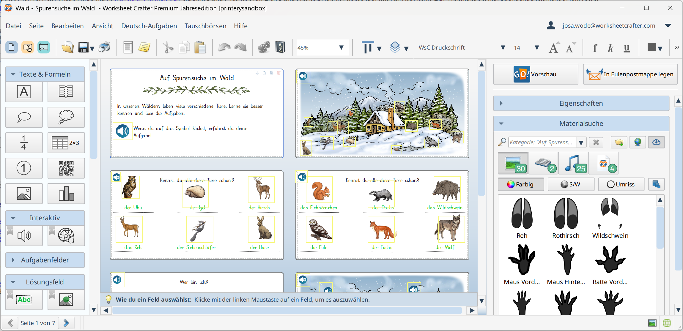 wsgo-editing-digital-worksheet