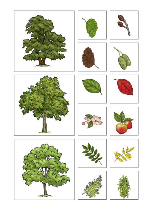 Worksheet Crafter